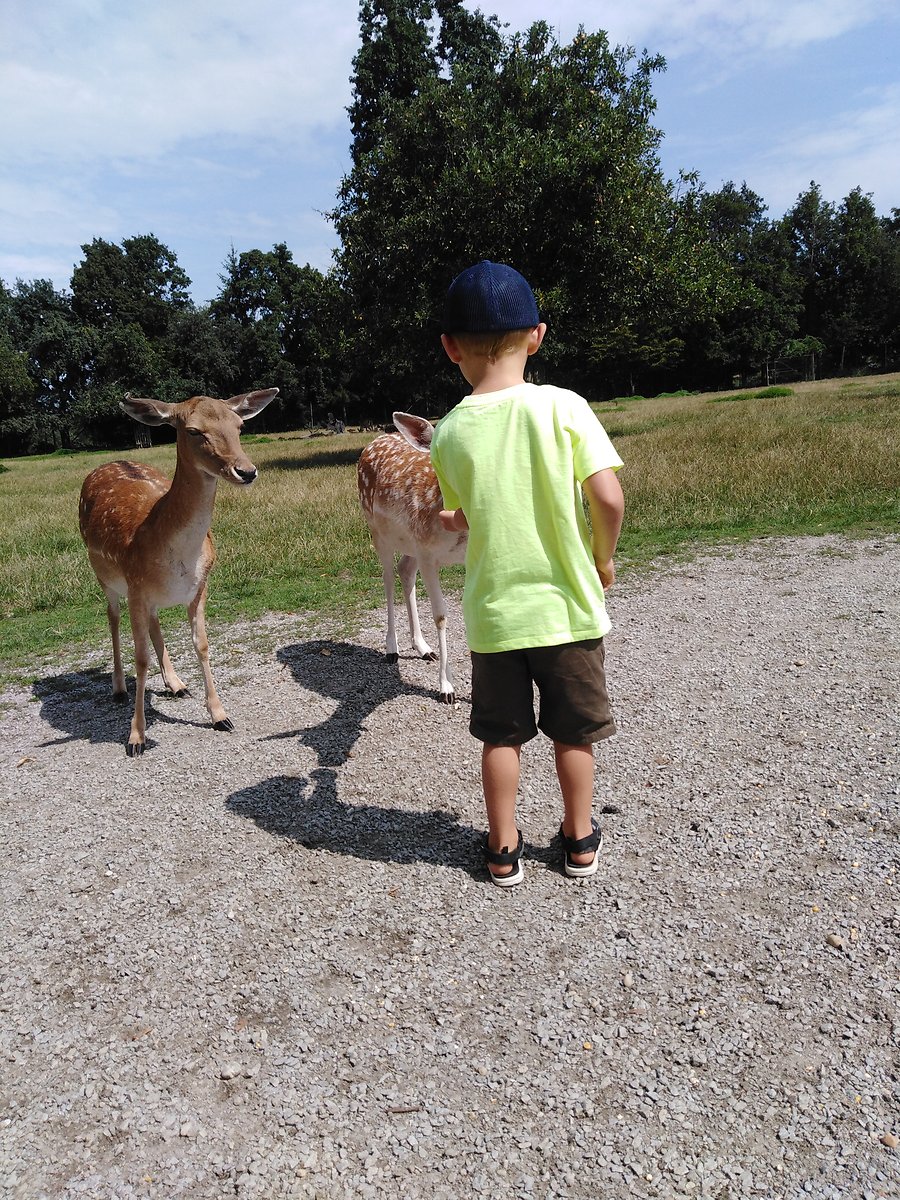 Familienangebot